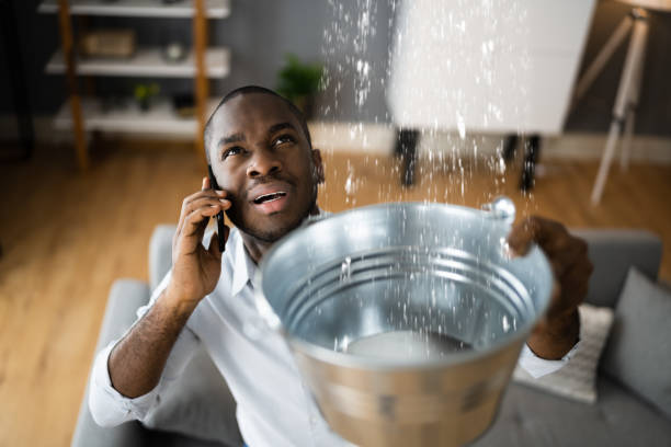 Best Basement water damage restoration  in Foscoe, NC
