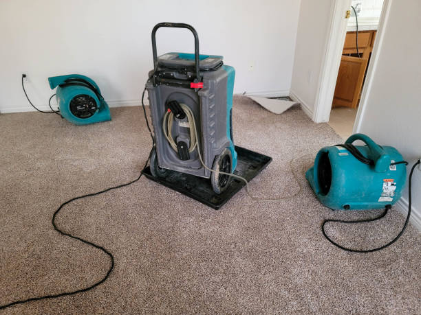 Best 24-hour water damage restoration  in Foscoe, NC