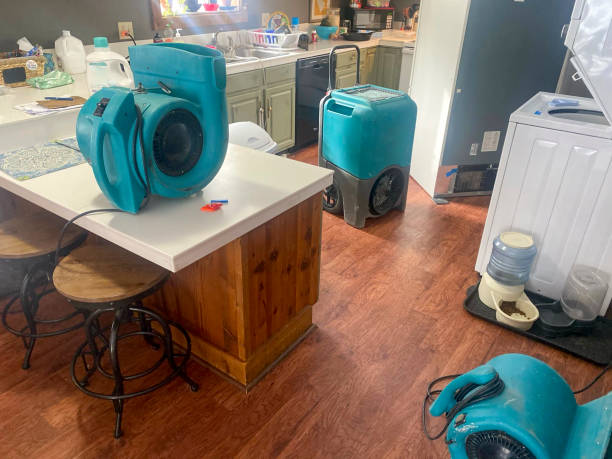 Best Water damage restoration insurance claims  in Foscoe, NC