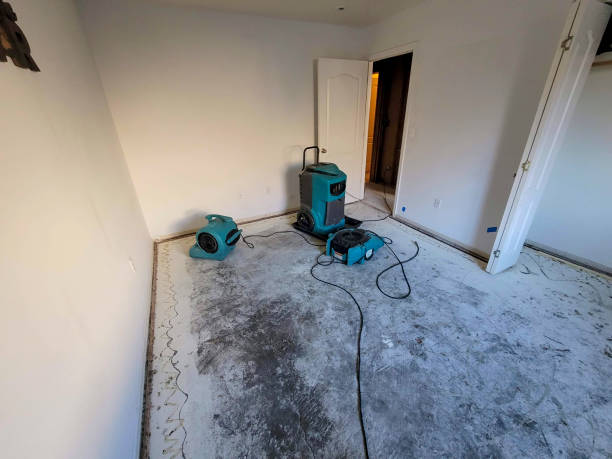 Best Water damage restoration near me  in Foscoe, NC