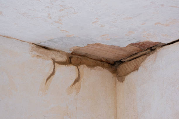 Best Commercial water damage restoration  in Foscoe, NC