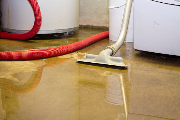Best Water damage contractors near me  in Foscoe, NC