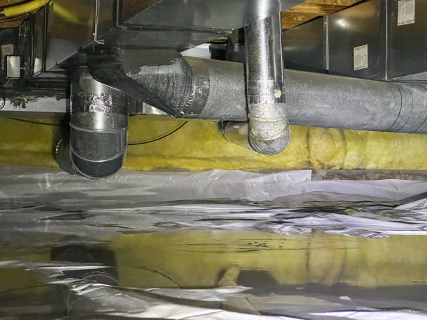 Best 24/7 water damage repair  in Foscoe, NC