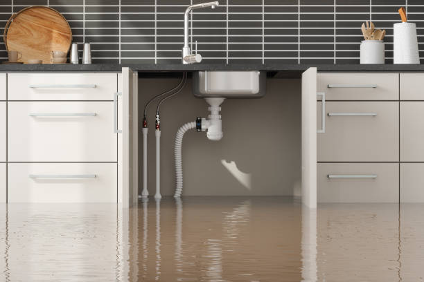 Best Basement water damage restoration  in Foscoe, NC